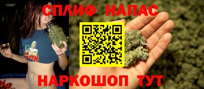 МДПВ Ливны