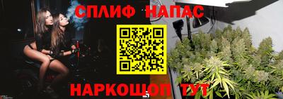 шишки Лесосибирск