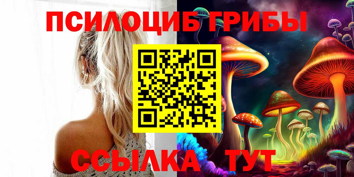 Галлюциногенные грибы Psilocybine cubensis Электрогорск